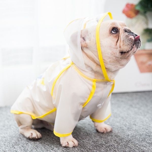 Pet Spring / Summer Raincoat